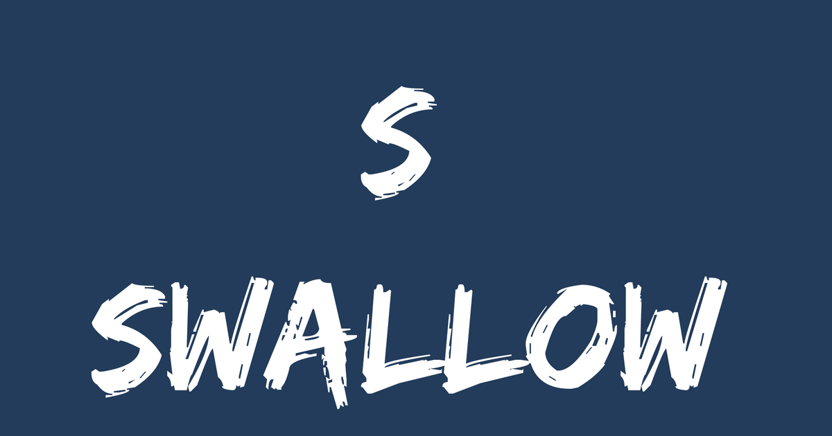 SWALLOW