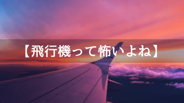 飛行機が怖いときの対処法