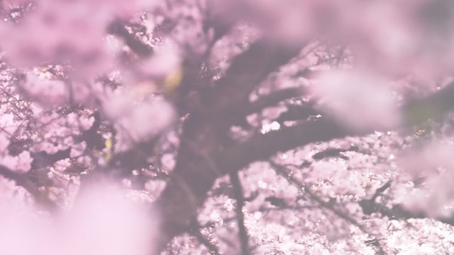 CLANNAD(クラナド)を見た感想